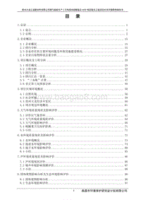 XX新材料有限公司环境影响评价报告书.pdf