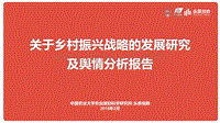 关于乡村振兴战略的发展研究及舆情分析报告.pdf