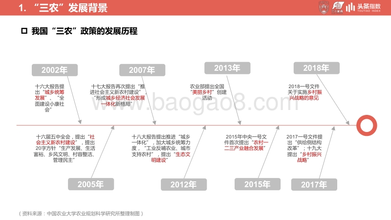 关于乡村振兴战略的发展研究及舆情分析报告.pdf_第4页