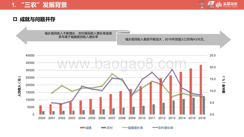 关于乡村振兴战略的发展研究及舆情分析报告.pdf_第5页