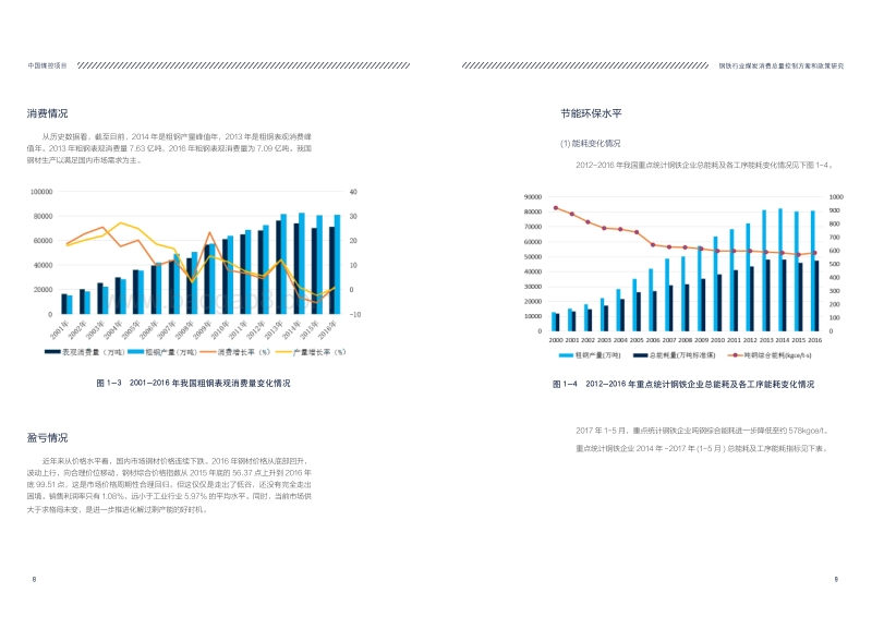 2017-2018钢铁行业煤炭消费总量控制方案和政策研究.pdf_第5页