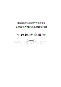 XX养牛专业合作社可行性研究报告.doc