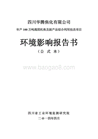 XX焦化公司环境影响评价报告书.pdf