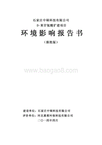 XX厂苯甘氨酸扩建项目环境影响评价报告书.pdf