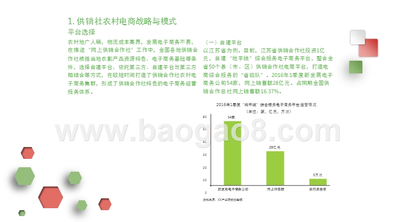 中国农村电商市场前景预测与投资规划分析报告.pptx_第4页