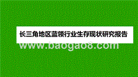 长三角地区蓝领行业生存现状研究报告.pptx