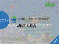 2017-2018年国家级宁乡经济技术开发区项目研究报告.pptx