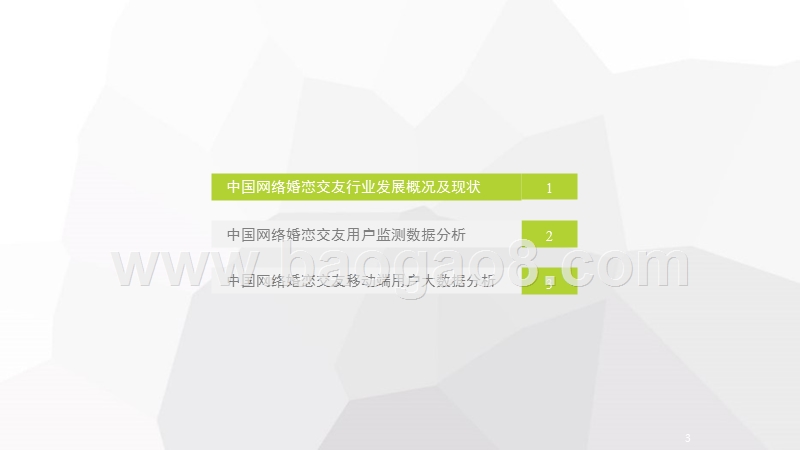 2018中国网络婚恋交友行业研究报告.pptx_第3页