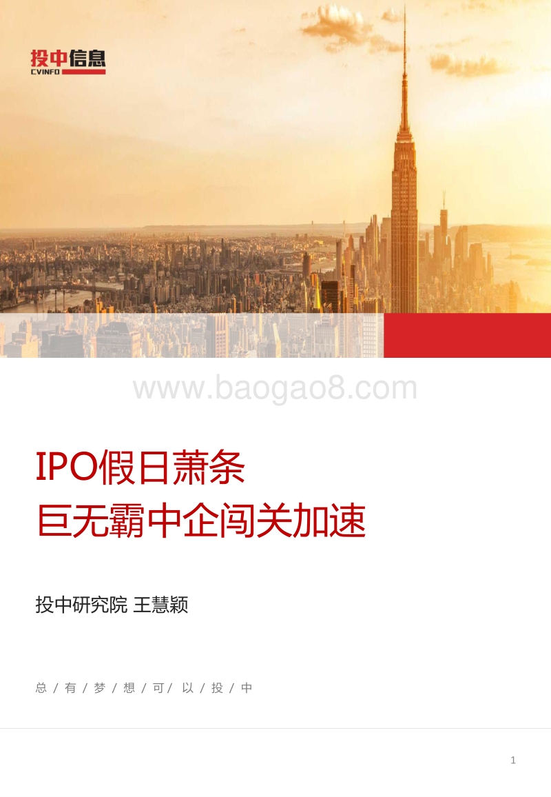 IPO（首次公开募股）大数据分析报告.pdf_第1页