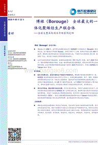 全球大型石化项目介绍系列之四：博禄（Borouge） 全球最大的一体化聚烯烃生产联合体.pdf