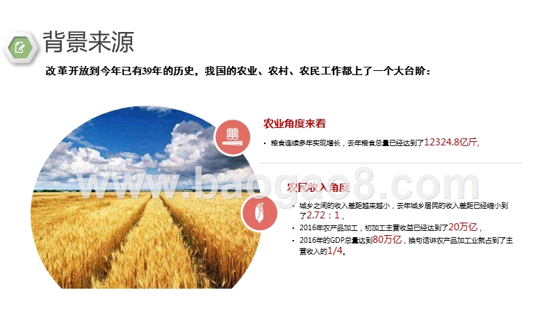 2018乡村振兴战略发展趋势解读.pptx_第4页
