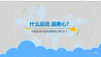 2017中国足球市场年度综合分析.pdf