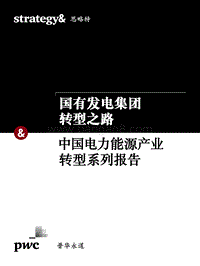 中国电力能源产业转型系列报告：国有电力集团转型之路.pdf