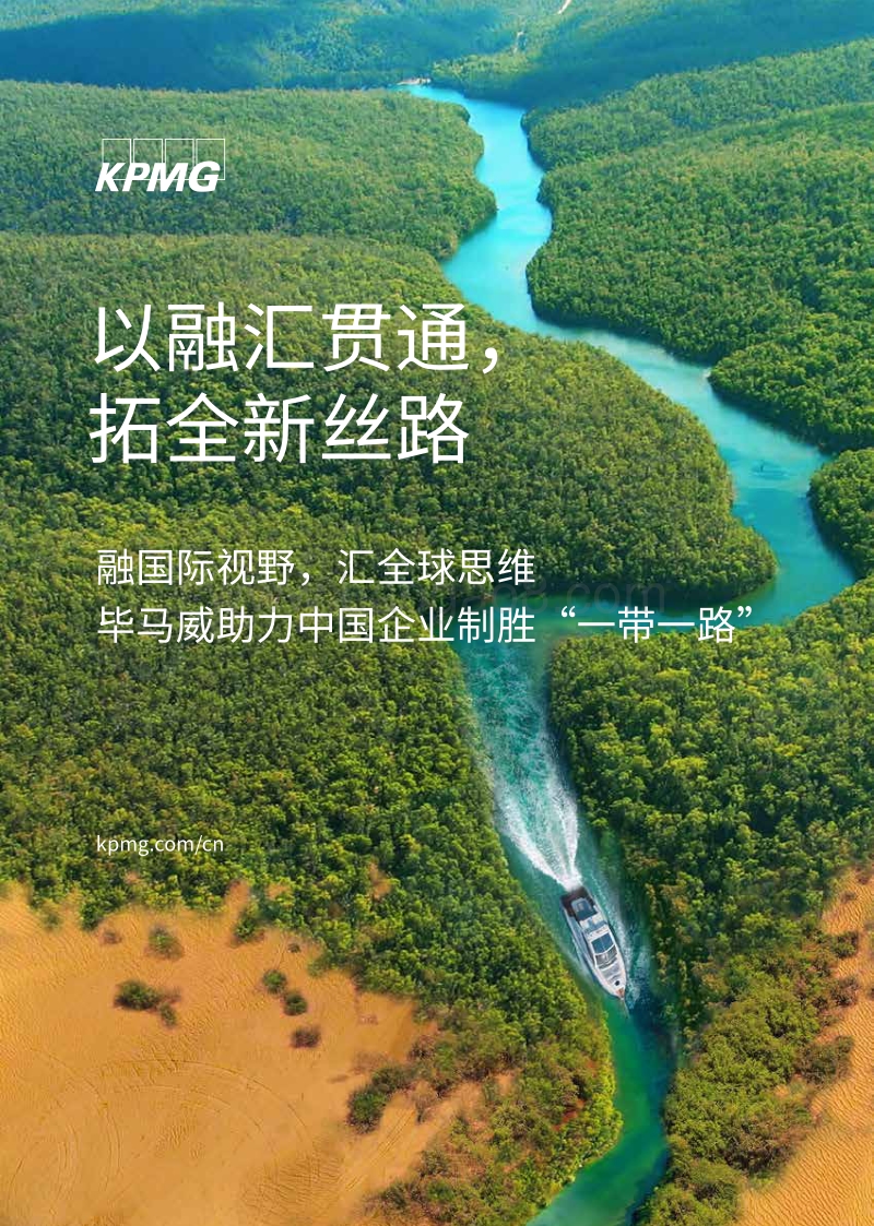 一带一路政策引导下融汇贯通分析报告.pdf_第1页