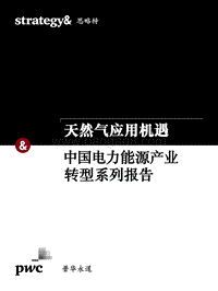 中国电力能源产业转型系列报告：天然气应用机遇.pdf