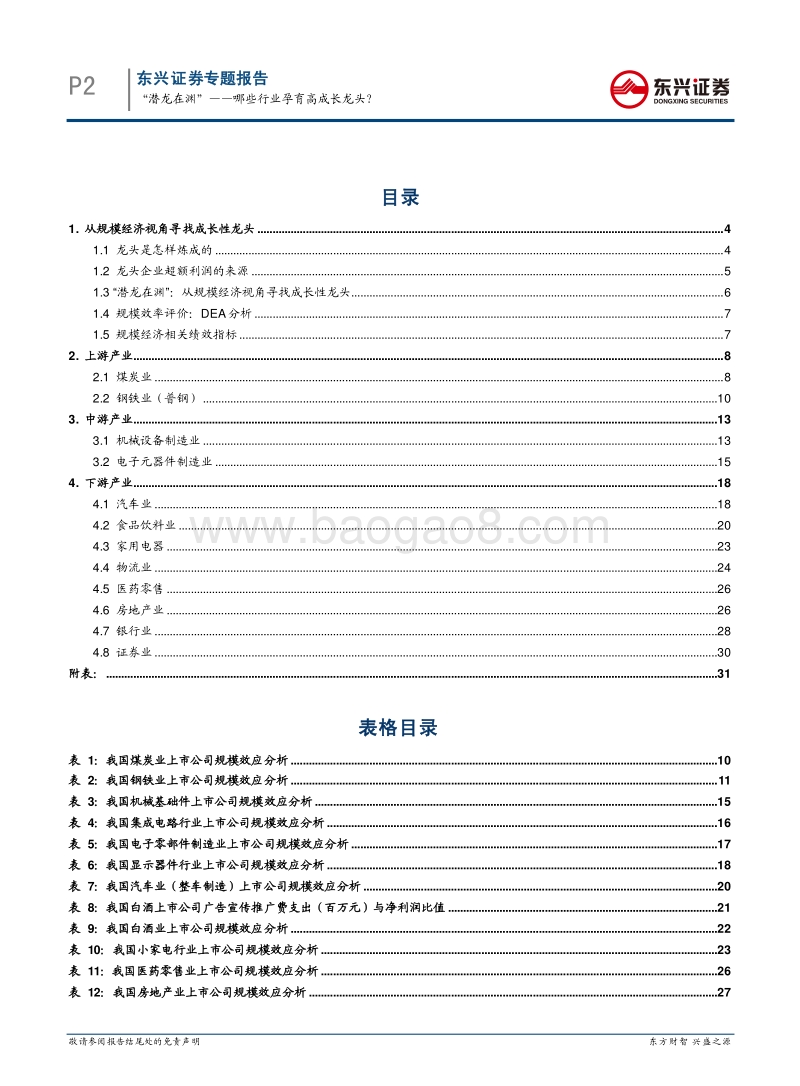 规模经济专题：“潜龙在渊”——哪些行业孕育高成长龙头？.pdf_第2页