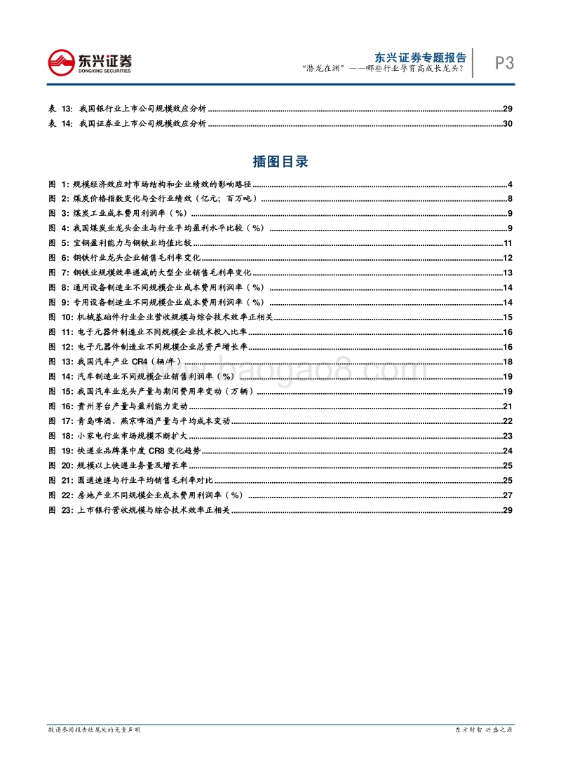 规模经济专题：“潜龙在渊”——哪些行业孕育高成长龙头？.pdf_第3页