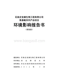 XX宝康生物工程有限公司氨基酸系列产品项目环境影响评价报告书全本.pdf