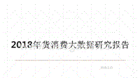 2018年货消费大数据研究报告.pptx