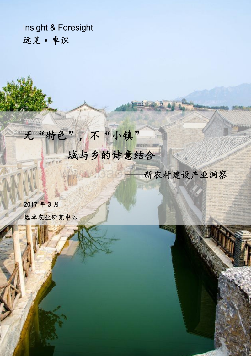 无“特色”，不“小镇”城与乡的诗意结合——新农村建设产业洞察.pdf_第1页