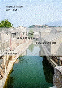 无“特色”，不“小镇”城与乡的诗意结合——新农村建设产业洞察.pdf