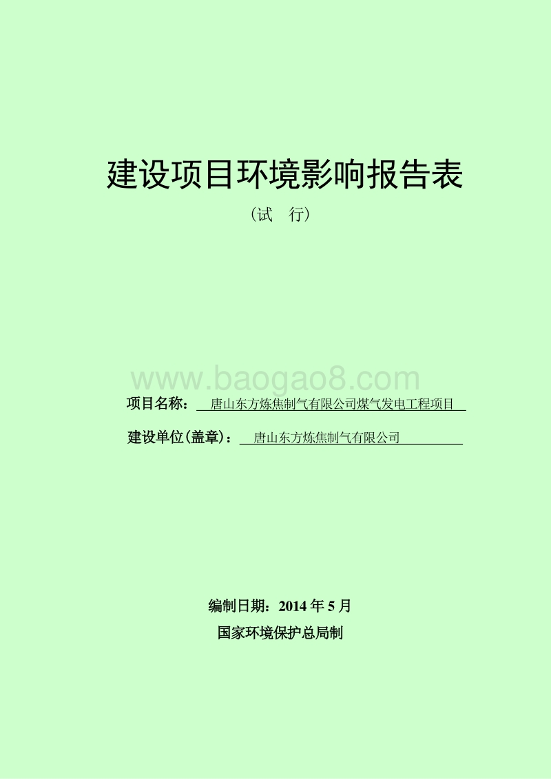 XX东方炼焦制气有限公司煤气发电工程项目环境影响评价报告表全本.doc_第1页