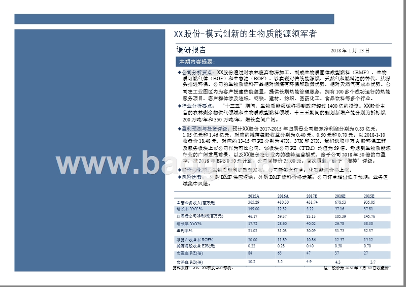 农林废弃物深加工生物质清洁能源分析报告.pptx_第2页