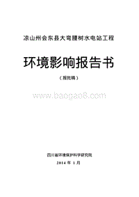 XX县鲹鱼河电力开发有限公司凉山州会东县大湾腰树水电站工程环境影响评价报告表全本.pdf