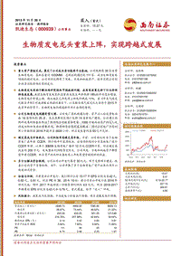 生物质能源发电行业分析报告.pdf