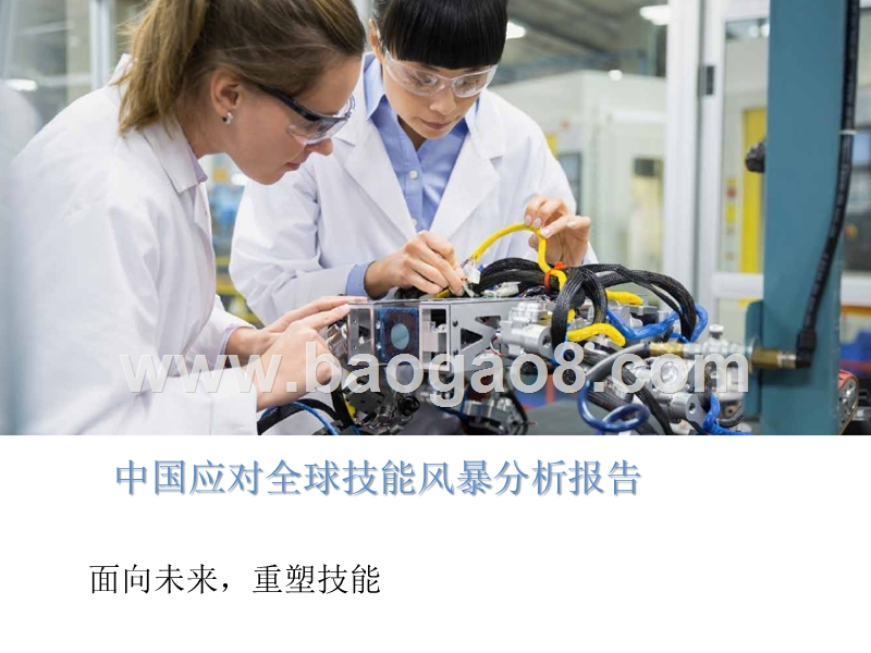 中国应对全球技能风暴分析报告.pptx_第1页