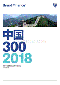 2018年度中国最有价值品牌300强研究报告.pdf
