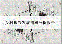 乡村振兴发展需求分析报告.pptx