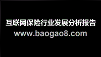 互联网保险行业发展分析报告.pptx