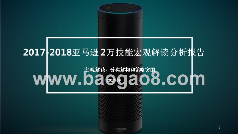 2017-2018亚马逊 2万技能宏观解读分析报告.pptx_第1页