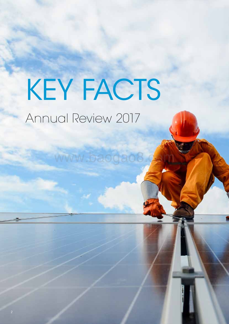 2017-2018可再生能源与就业机会年度回顾（英文版）.pdf_第2页
