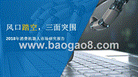 2018年消费机器人市场研究报告.pptx