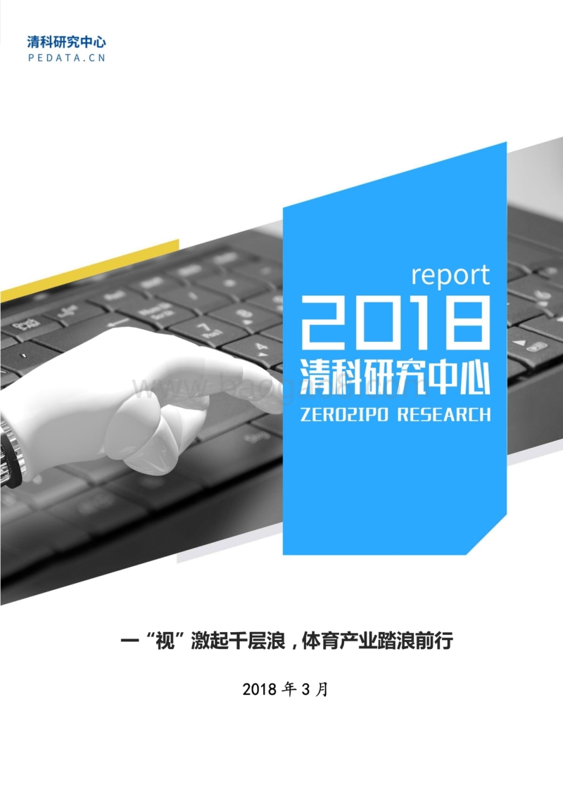 体育产业前景分析报告.pdf_第1页