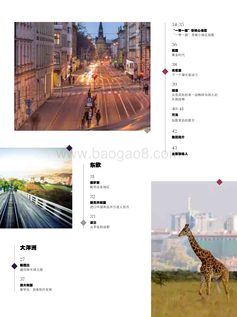 “一带一路”沿线房地产市场洞察报告.pdf_第5页