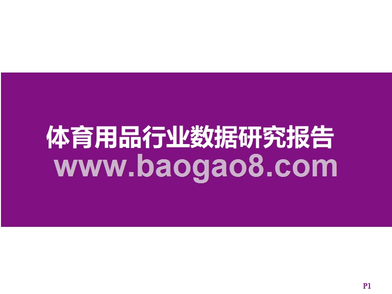 体育用品行业数据研究报告.pptx_第1页