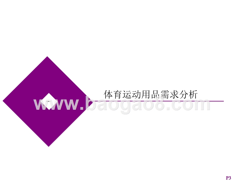 体育用品行业数据研究报告.pptx_第3页