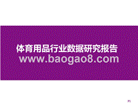 体育用品行业数据研究报告.pptx