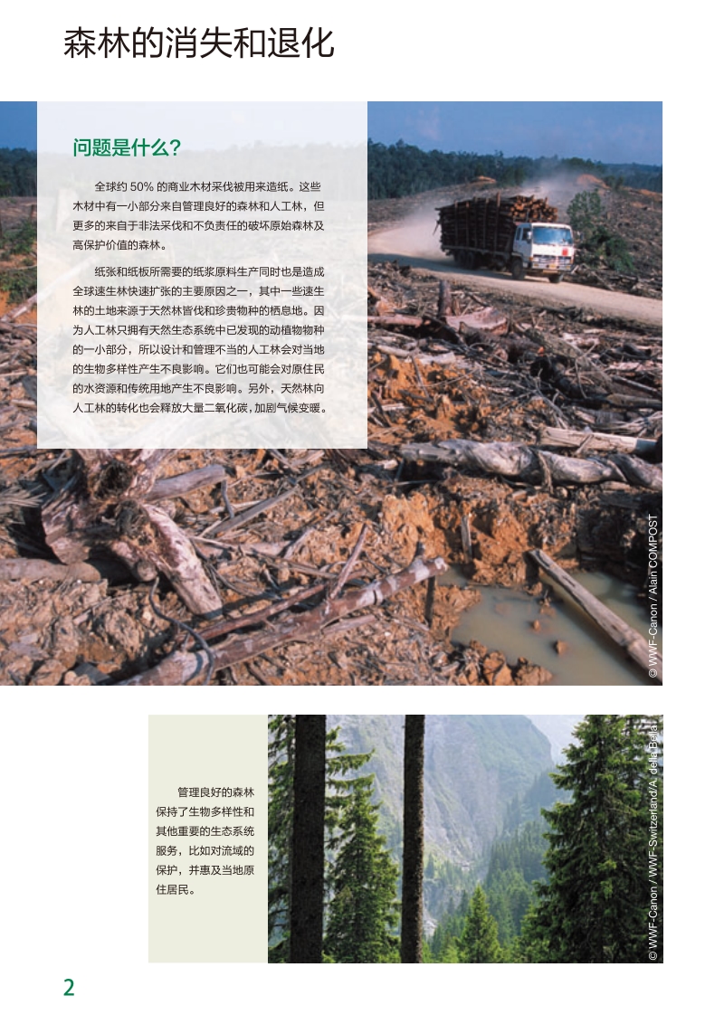 WWF纸张采购指南.pdf_第4页