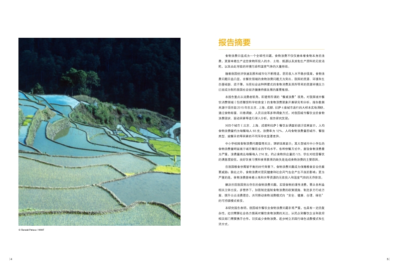 中国城市餐饮食品浪费报告.pdf_第4页