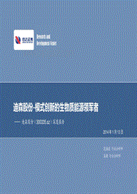 生物质能源模式创新分析报告.pdf