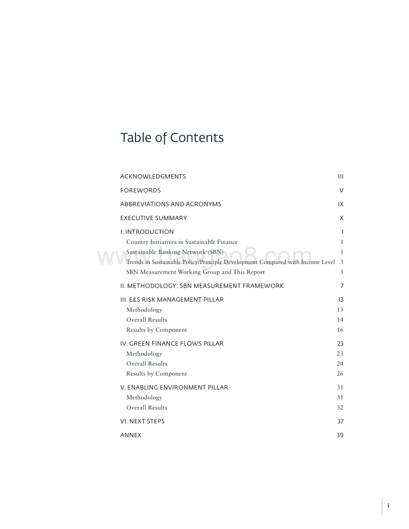 可持续银行网络（SBN）全球进展报告（英文版）.pdf_第5页