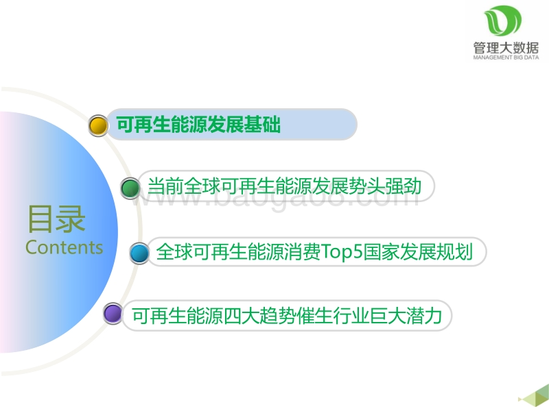 可再生能源未来发展趋势分析.pdf_第2页