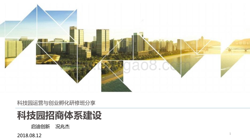 科技园招商与运营体系搭建.pdf_第1页