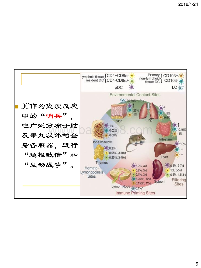 树突状细胞培养课题研究计划报告DC2018年.pdf_第5页