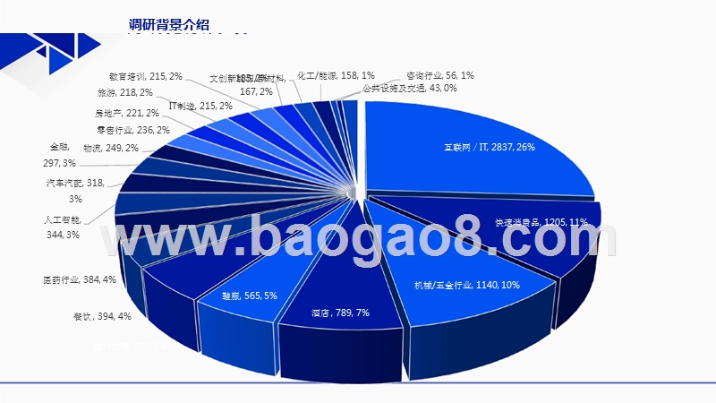 2017-2018年中国人才薪酬与激励数据研究报告.pptx_第2页
