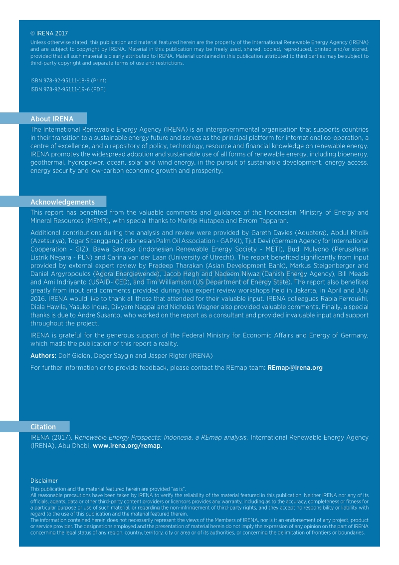 印度尼西亚可再生能源前景（英文版）.pdf_第2页